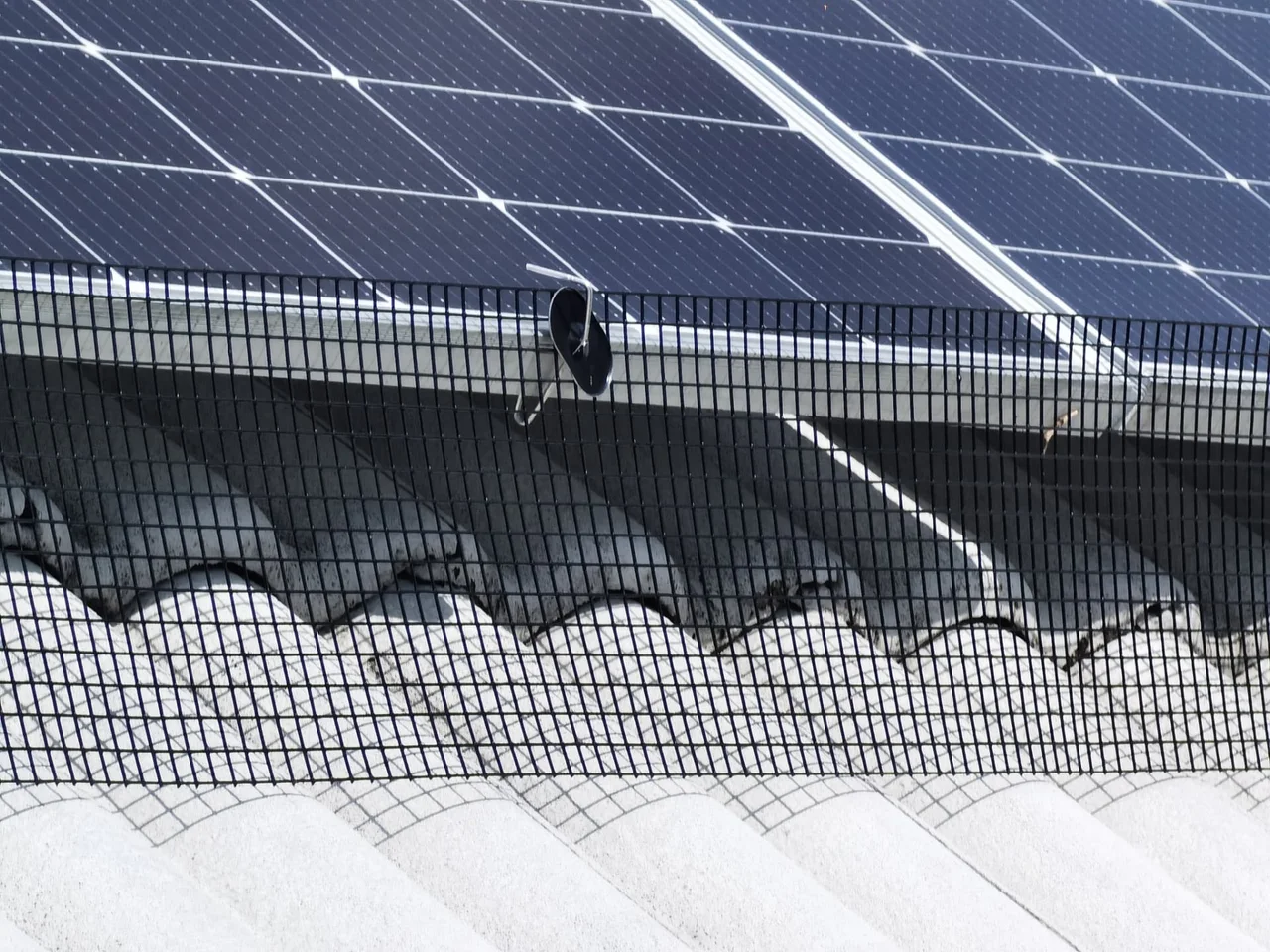Mesh bird guard fitted around the edge of rooftop solar panels