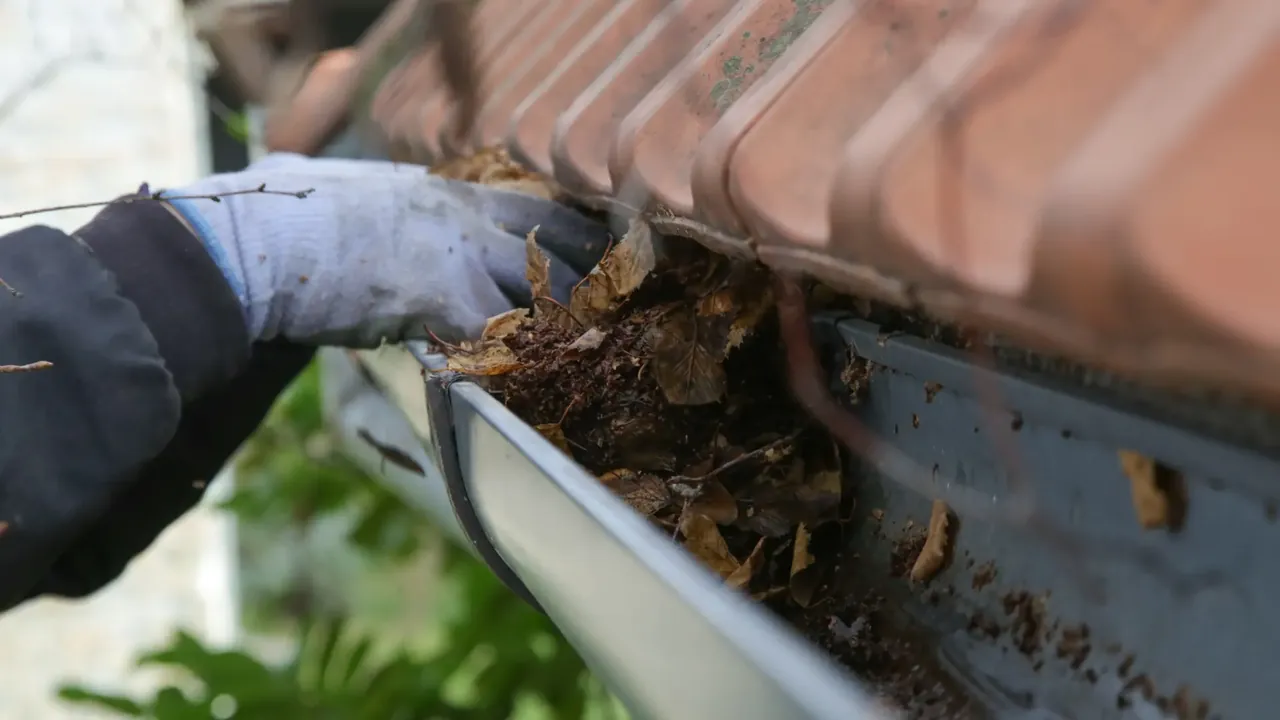 Gloved hand clearing leaves and debris from a blocked gutter